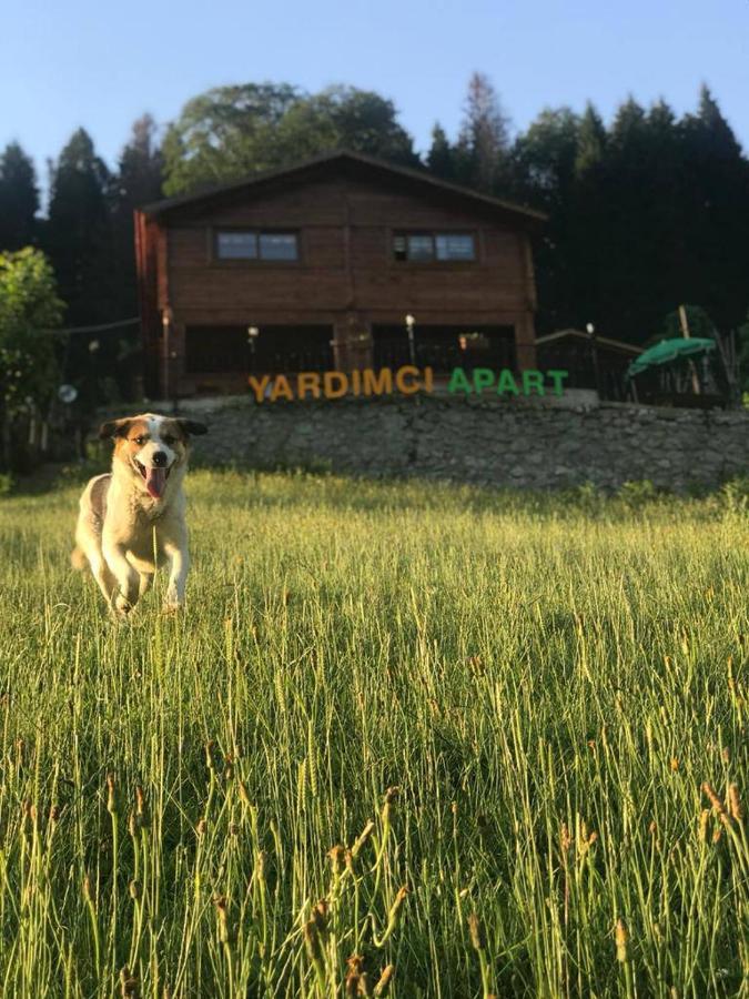 Ayder Yardimci Apart Exterior photo