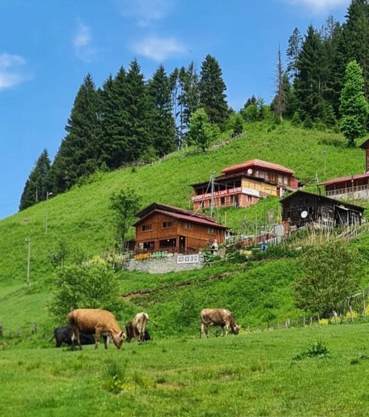 Ayder Yardimci Apart Exterior photo