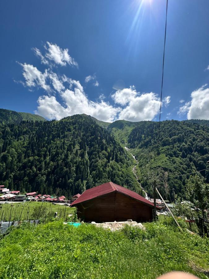 Ayder Yardimci Apart Exterior photo